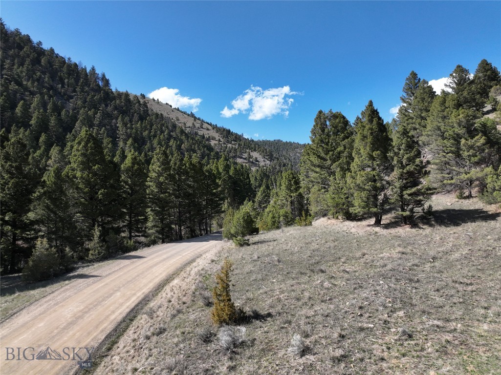 Tbd (28.6+/- Acres) High Ore Road Property Photo 43