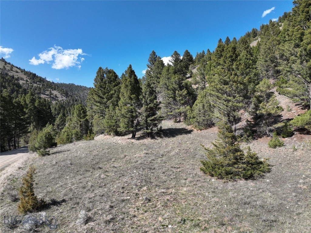 Tbd (28.6+/- Acres) High Ore Road Property Photo 44