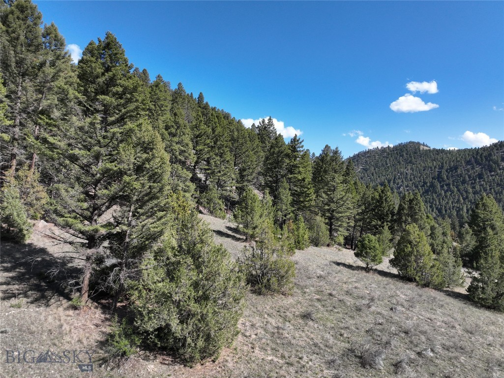 Tbd (28.6+/- Acres) High Ore Road Property Photo 45