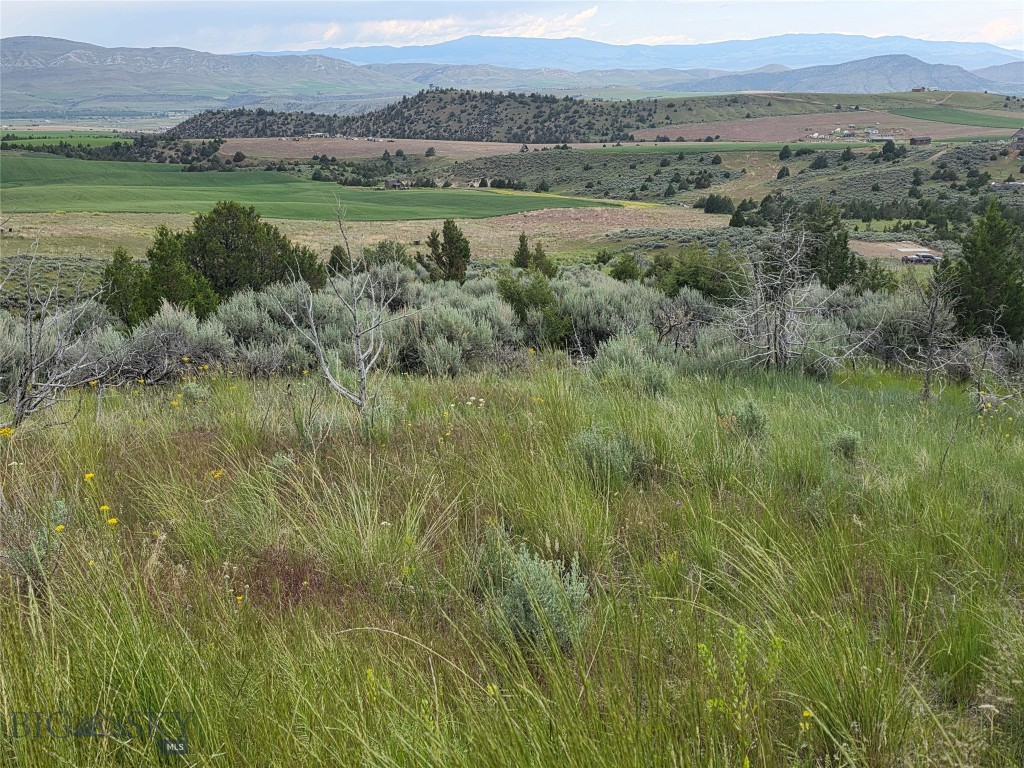 Tbd Homestead Property Photo 1