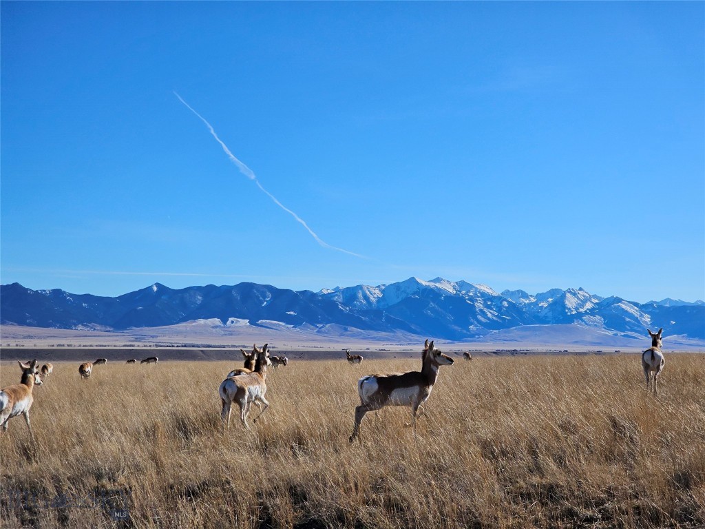 Tbd Cow Camp Trail Property Photo 1