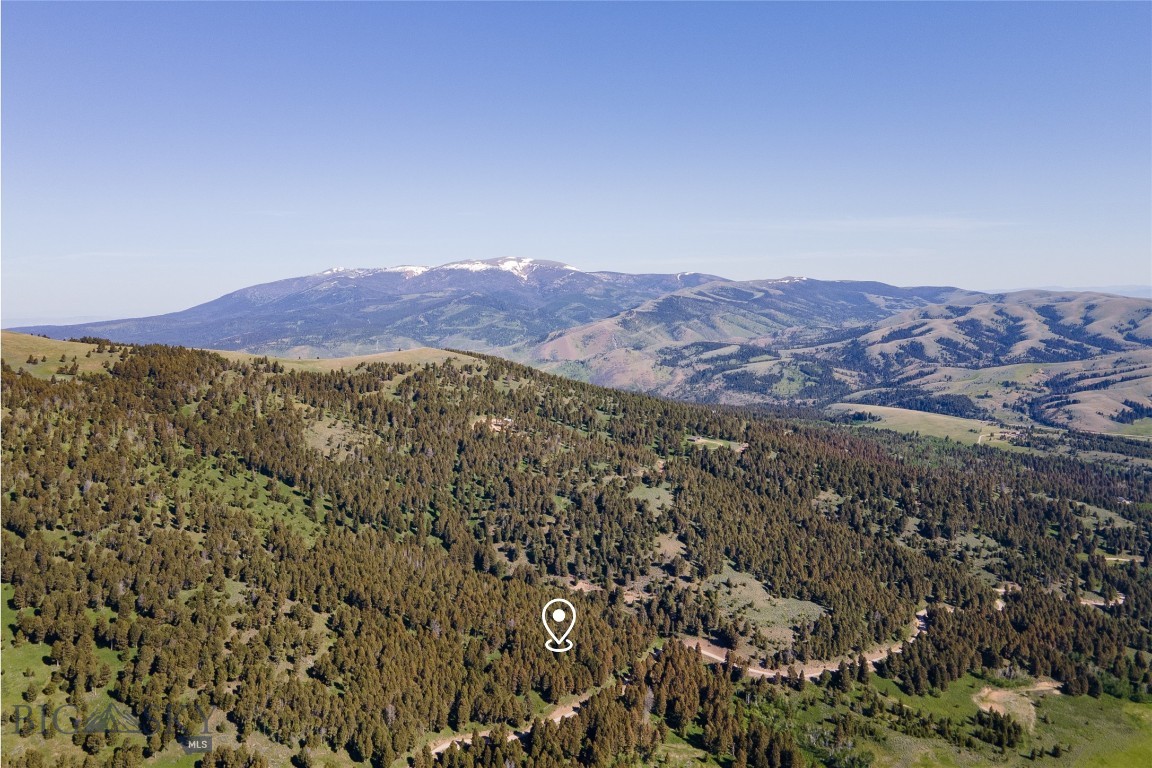 169 Grassy Mountain Road Property Photo 1