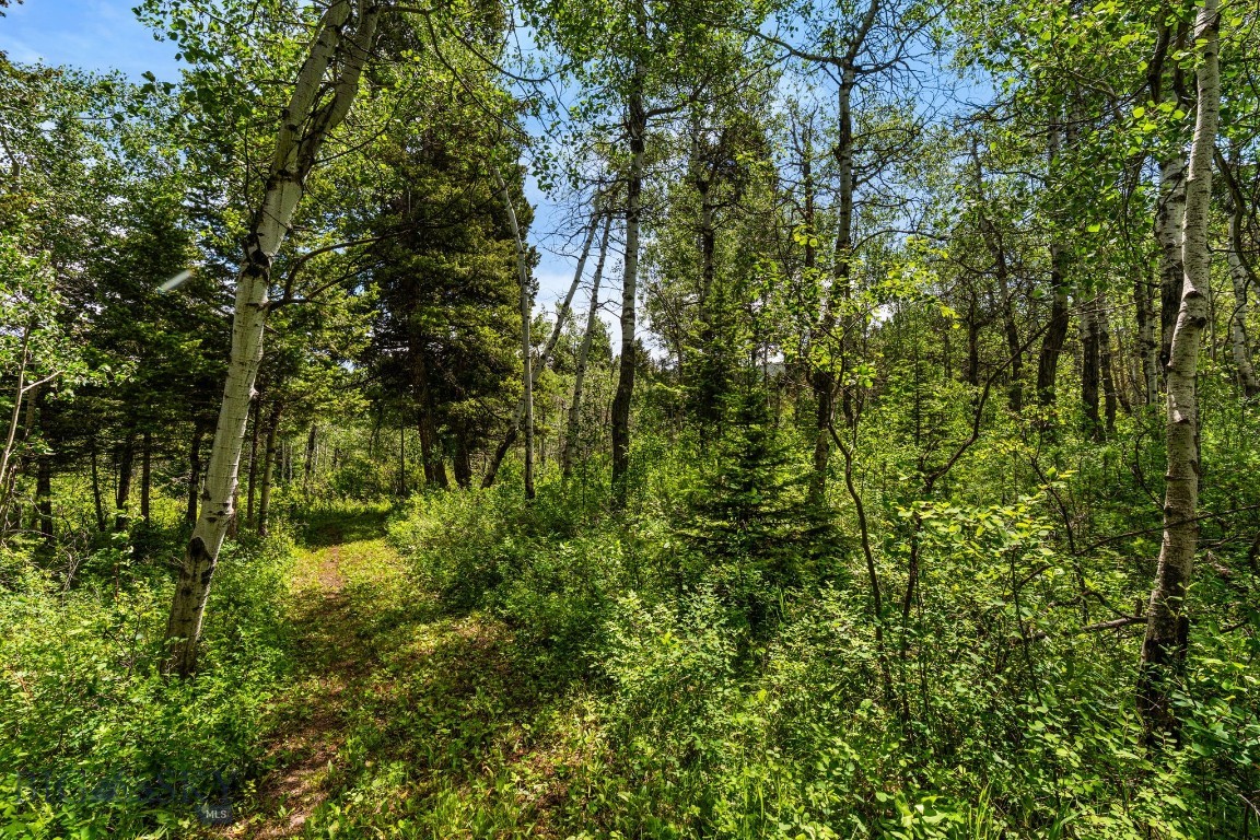 207 Martinez Spring Road Property Photo 87