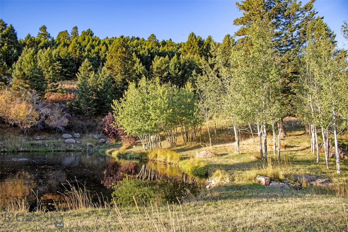 94 Sky Band Trail Property Photo 9