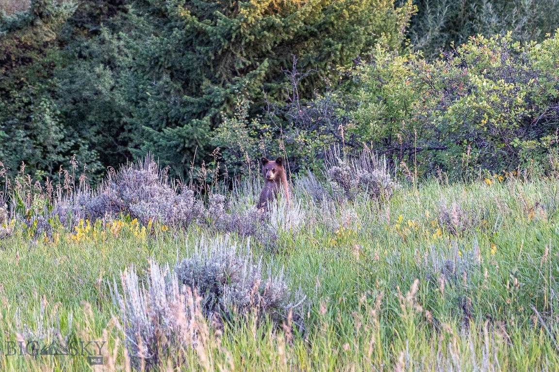 94 Sky Band Trail Property Photo 58
