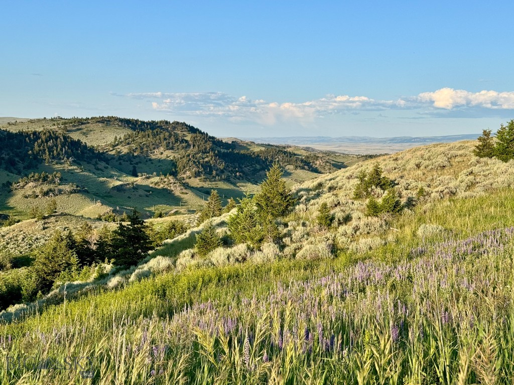 94 Sky Band Trail Property Photo 67