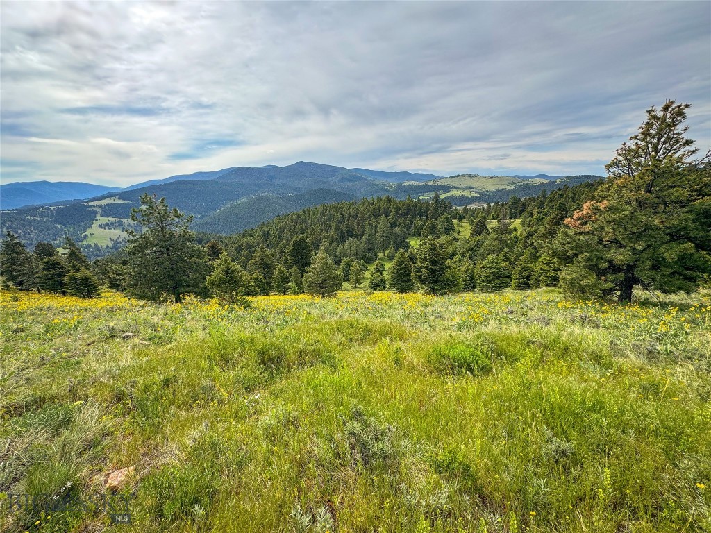 Tbd (36.4+/- Acres) Elkhorn Mountain View Road Property Photo 1