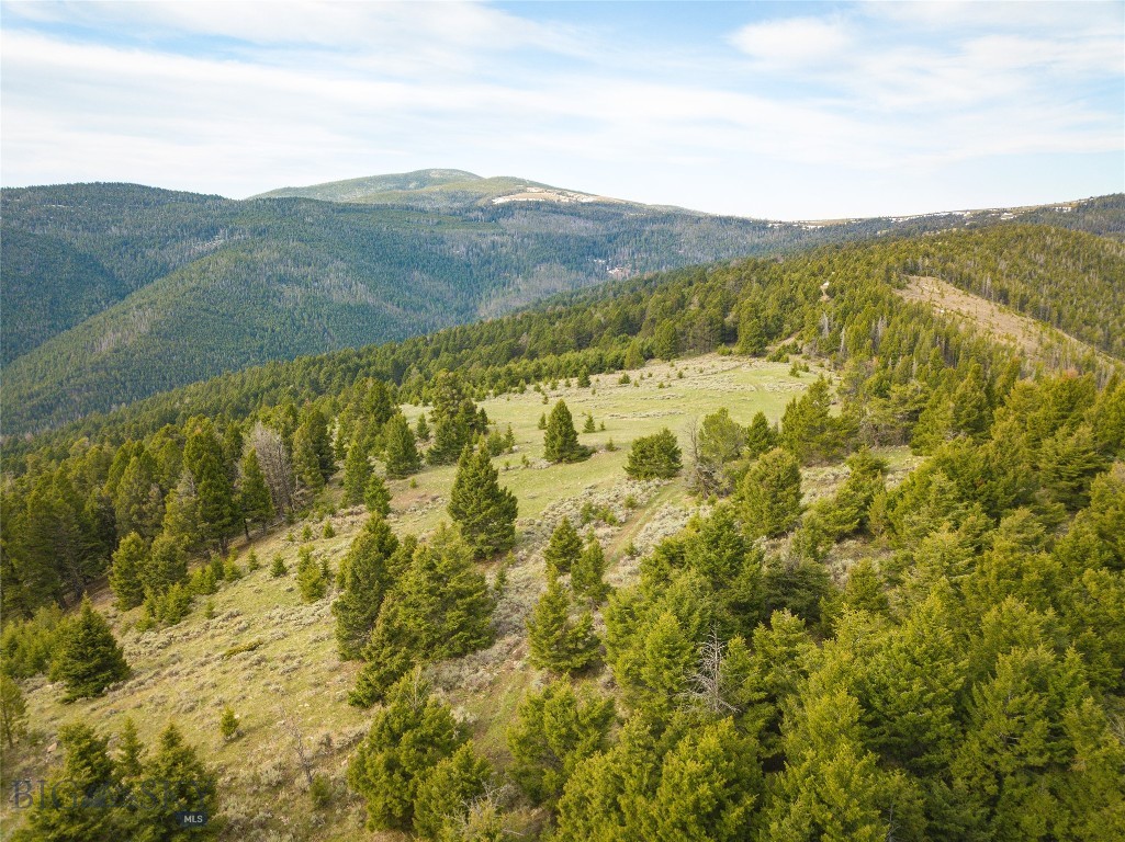 Tbd (58+/- Acres) Ottawa Gulch Road Property Photo 1