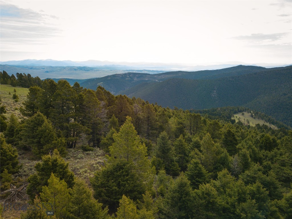 Tbd (58+/- Acres) Ottawa Gulch Road Property Photo 3