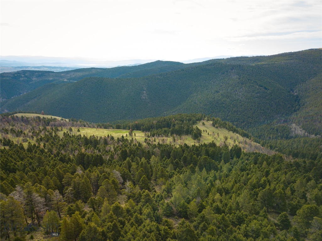 Tbd (58+/- Acres) Ottawa Gulch Road Property Photo 5