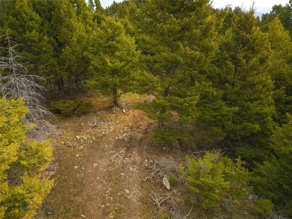 Tbd (58+/- Acres) Ottawa Gulch Road Property Photo 6