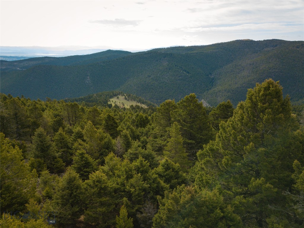 Tbd (58+/- Acres) Ottawa Gulch Road Property Photo 7