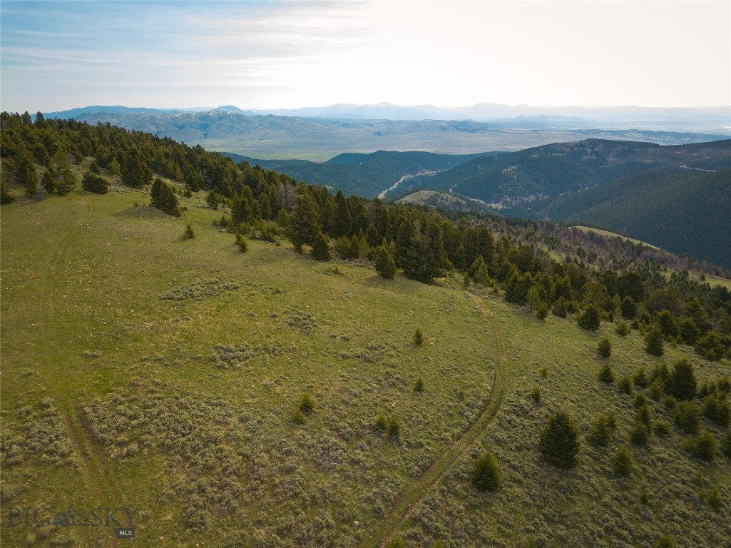 Tbd (58+/- Acres) Ottawa Gulch Road Property Photo 8