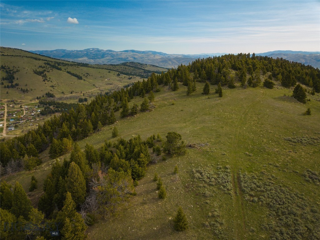 Tbd (58+/- Acres) Ottawa Gulch Road Property Photo 9