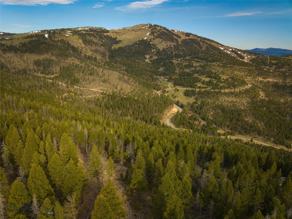 Tbd (58+/- Acres) Ottawa Gulch Road Property Photo 10