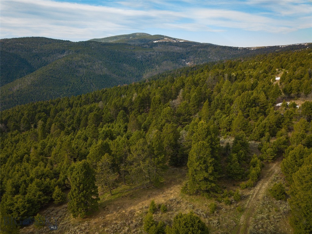 Tbd (58+/- Acres) Ottawa Gulch Road Property Photo 11