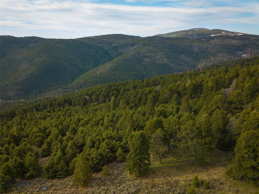 Tbd (58+/- Acres) Ottawa Gulch Road Property Photo 12