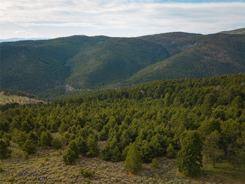 Tbd (58+/- Acres) Ottawa Gulch Road Property Photo 13