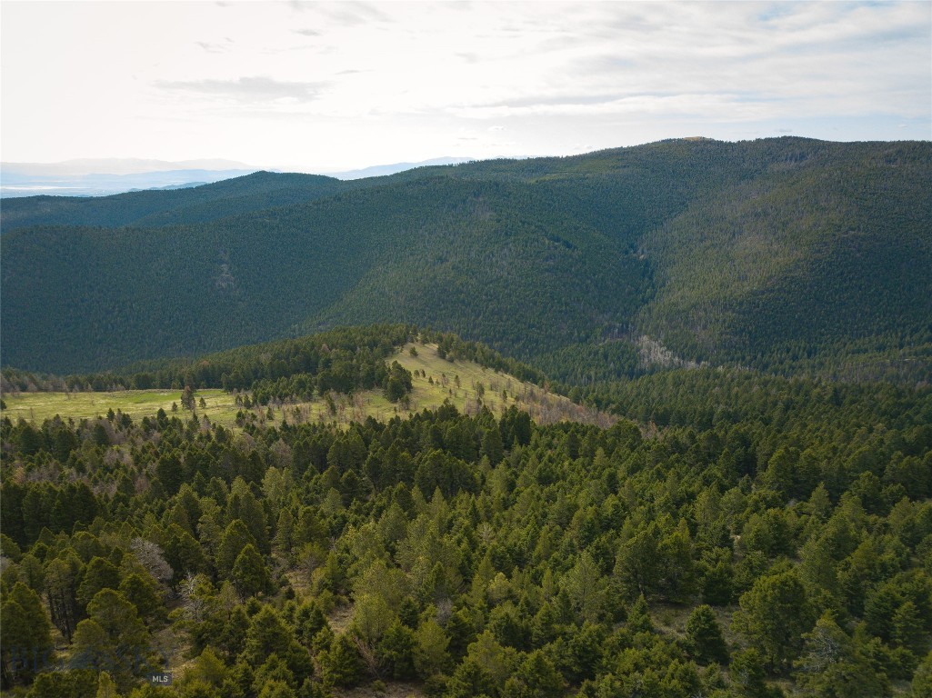 Tbd (58+/- Acres) Ottawa Gulch Road Property Photo 14