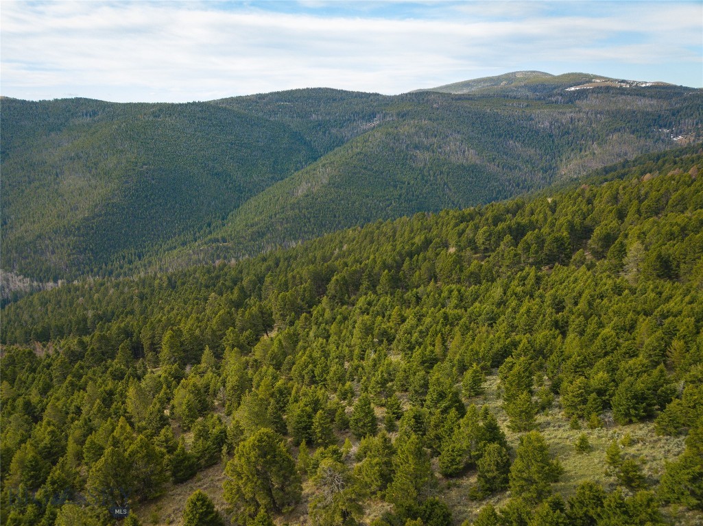 Tbd (58+/- Acres) Ottawa Gulch Road Property Photo 15