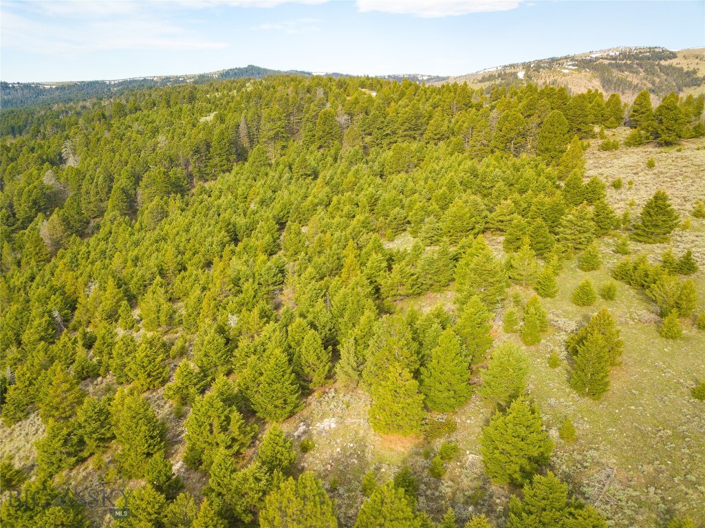 Tbd (58+/- Acres) Ottawa Gulch Road Property Photo 16