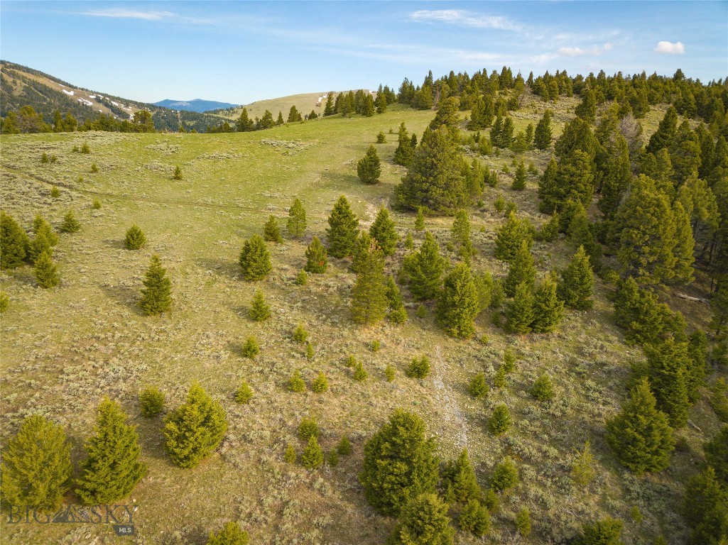 Tbd (58+/- Acres) Ottawa Gulch Road Property Photo 17