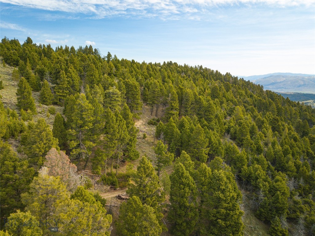 Tbd (58+/- Acres) Ottawa Gulch Road Property Photo 18