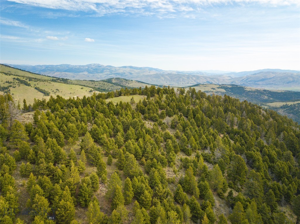 Tbd (58+/- Acres) Ottawa Gulch Road Property Photo 19