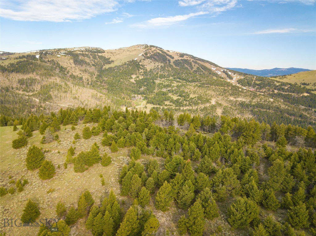 Tbd (58+/- Acres) Ottawa Gulch Road Property Photo 20