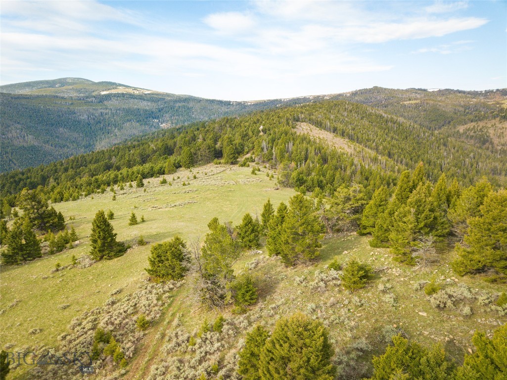 Tbd (58+/- Acres) Ottawa Gulch Road Property Photo 23