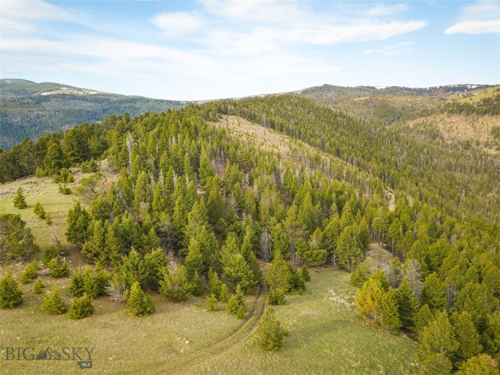 Tbd (58+/- Acres) Ottawa Gulch Road Property Photo 24