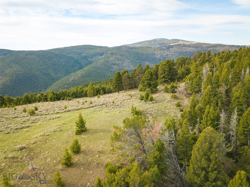 Tbd (58+/- Acres) Ottawa Gulch Road Property Photo 26