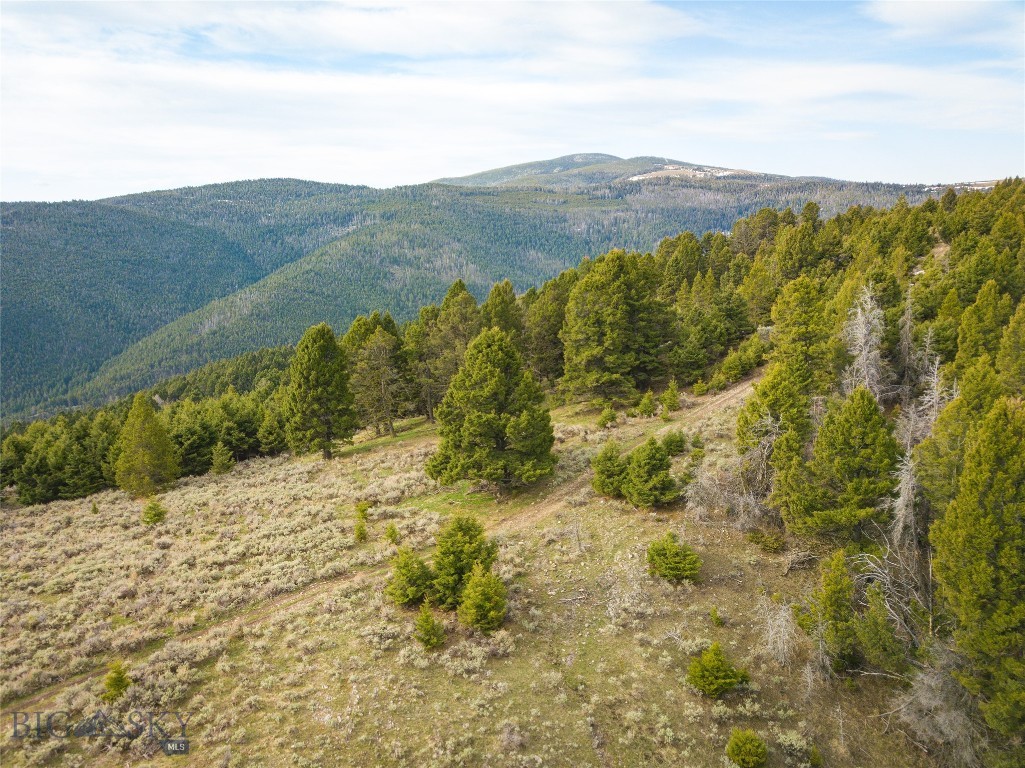 Tbd (58+/- Acres) Ottawa Gulch Road Property Photo 27