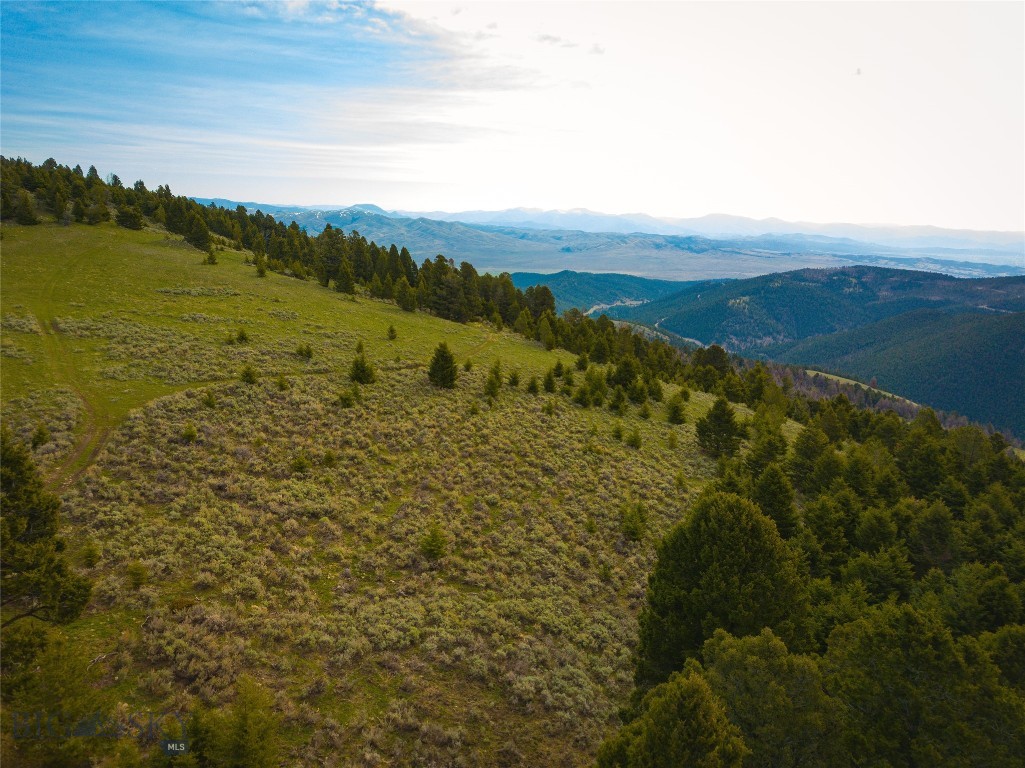 Tbd (58+/- Acres) Ottawa Gulch Road Property Photo 28