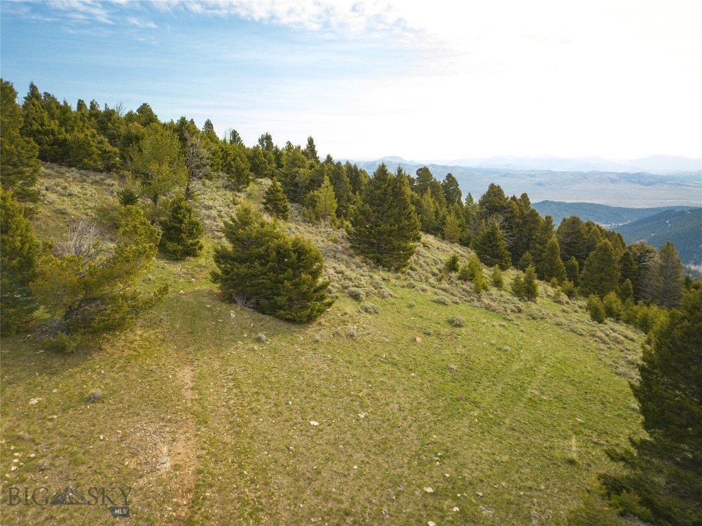 Tbd (58+/- Acres) Ottawa Gulch Road Property Photo 29