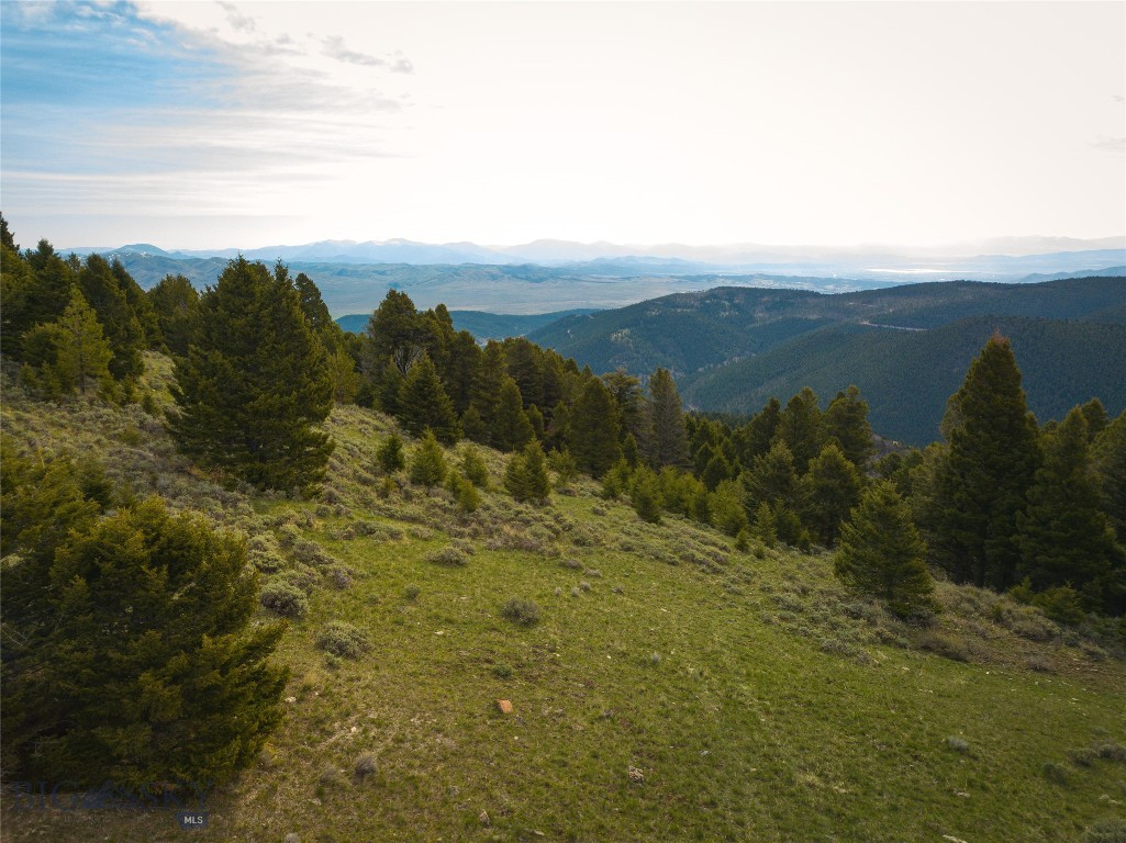 Tbd (58+/- Acres) Ottawa Gulch Road Property Photo 30