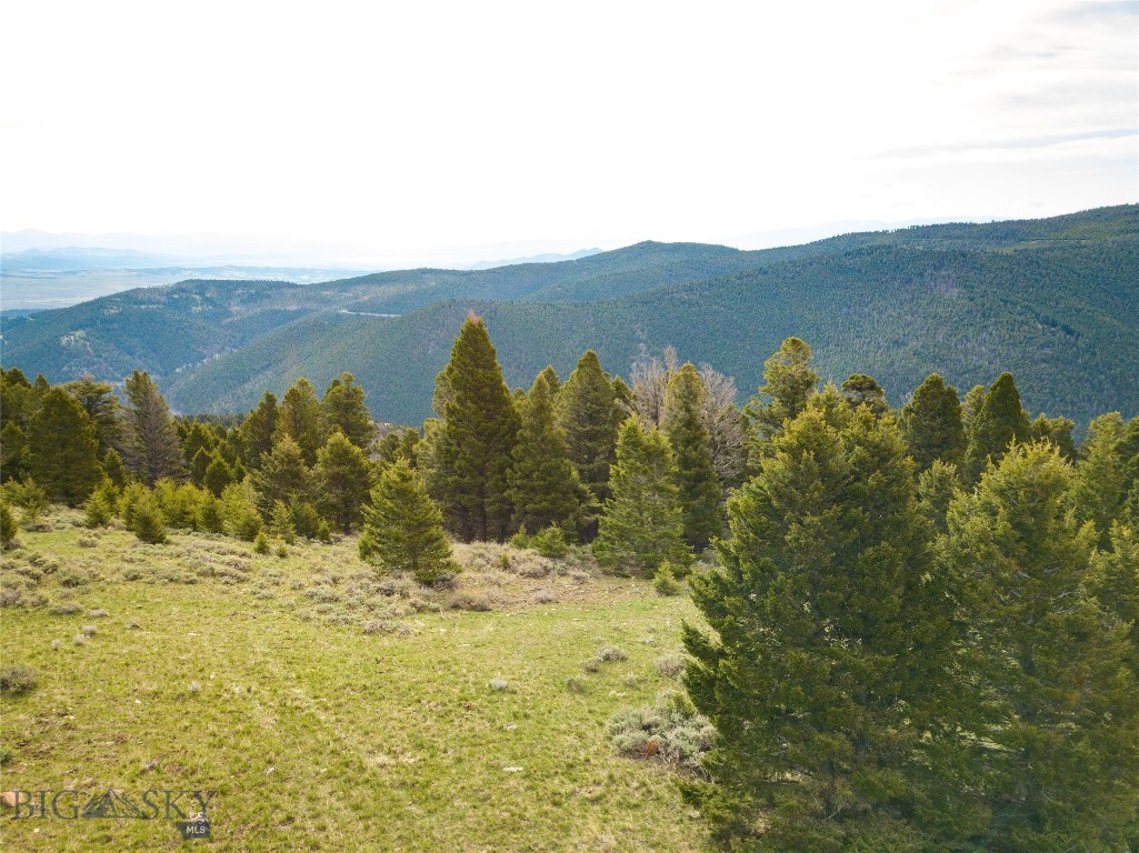 Tbd (58+/- Acres) Ottawa Gulch Road Property Photo 31