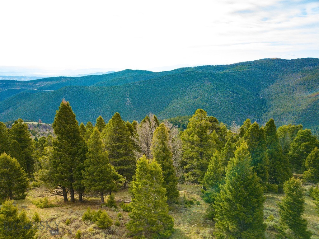 Tbd (58+/- Acres) Ottawa Gulch Road Property Photo 32