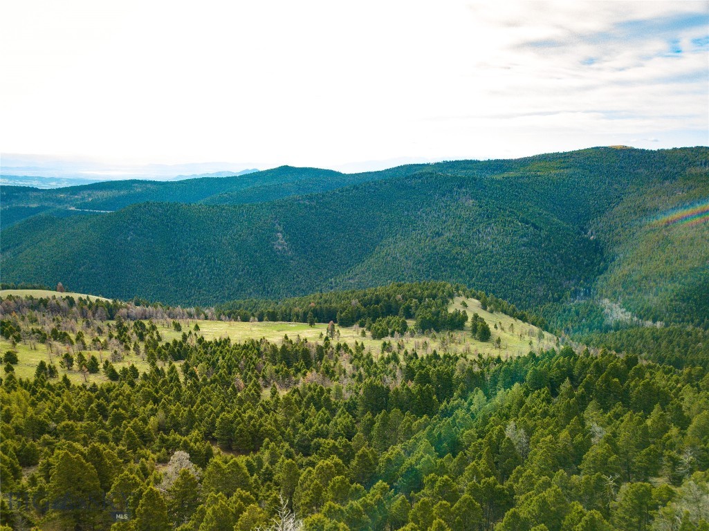 Tbd (58+/- Acres) Ottawa Gulch Road Property Photo 33