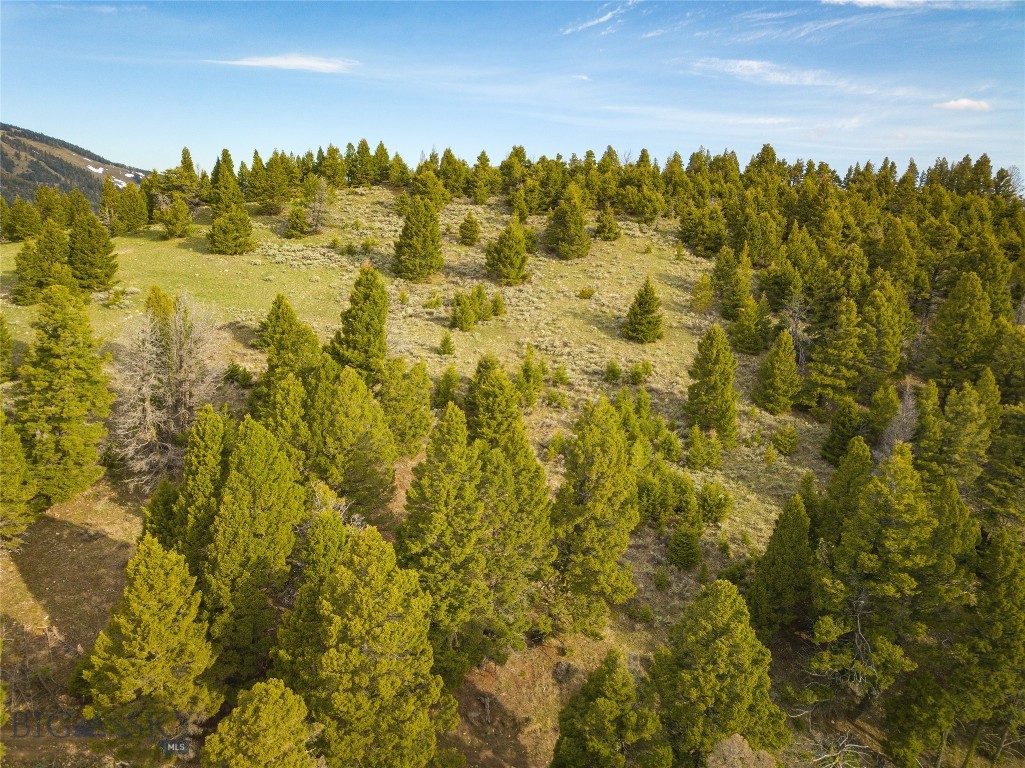 Tbd (58+/- Acres) Ottawa Gulch Road Property Photo 34