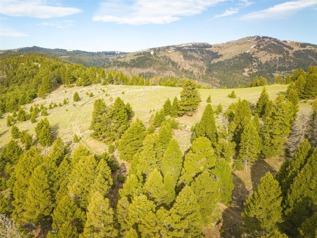 Tbd (58+/- Acres) Ottawa Gulch Road Property Photo 35