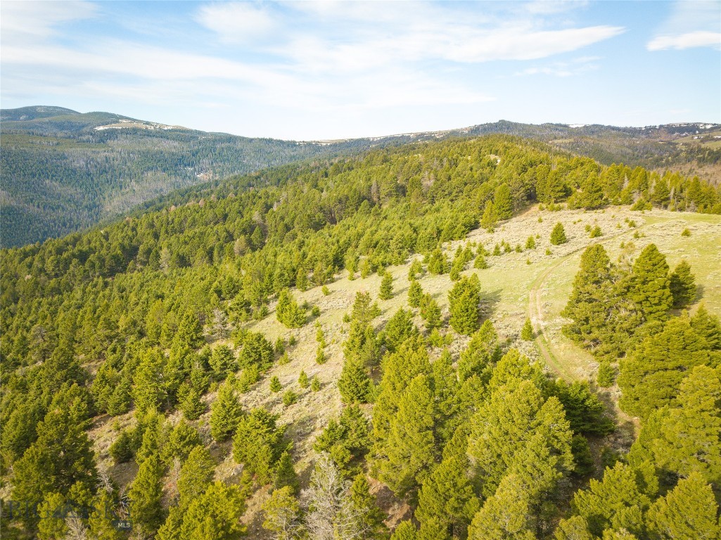 Tbd (58+/- Acres) Ottawa Gulch Road Property Photo 36