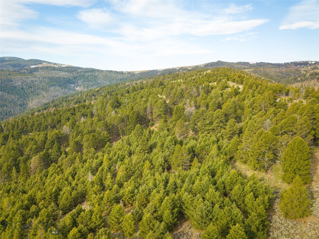 Tbd (58+/- Acres) Ottawa Gulch Road Property Photo 37