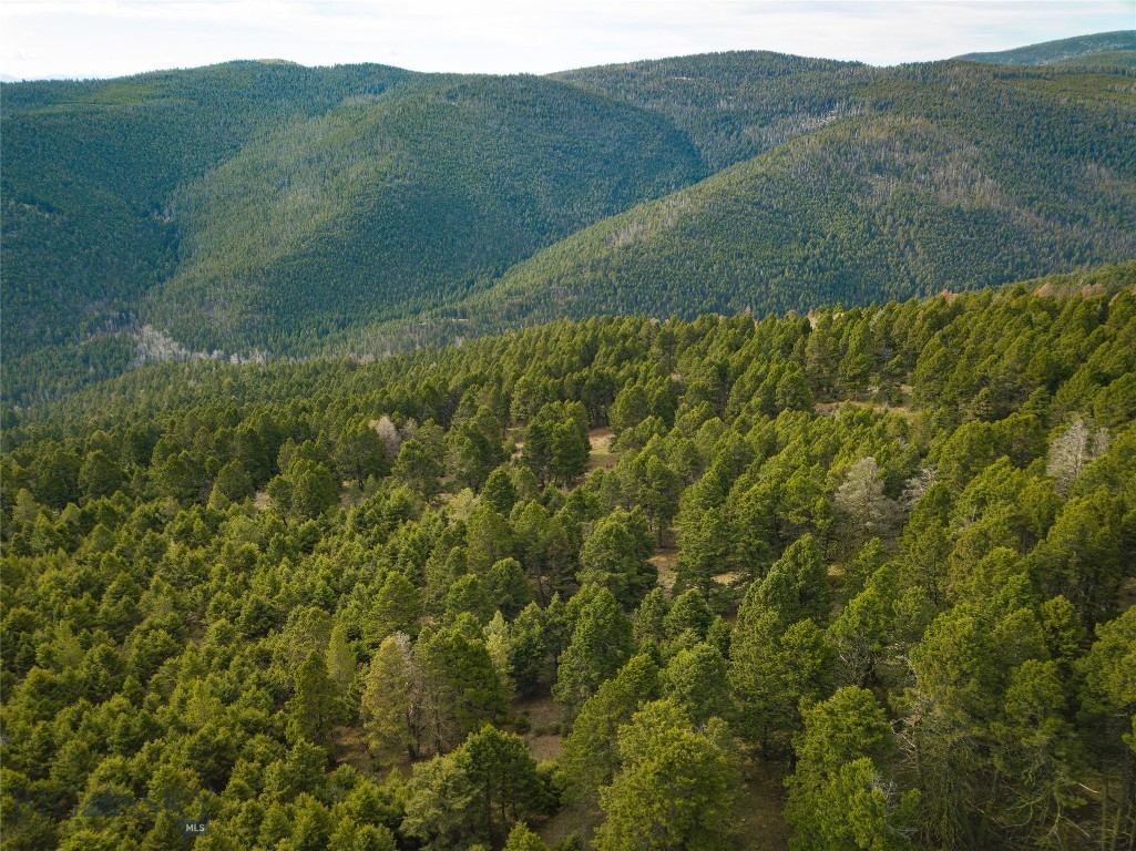 Tbd (58+/- Acres) Ottawa Gulch Road Property Photo 38