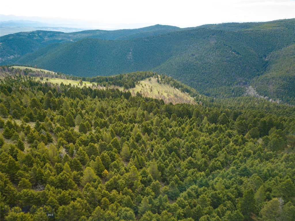 Tbd (58+/- Acres) Ottawa Gulch Road Property Photo 39