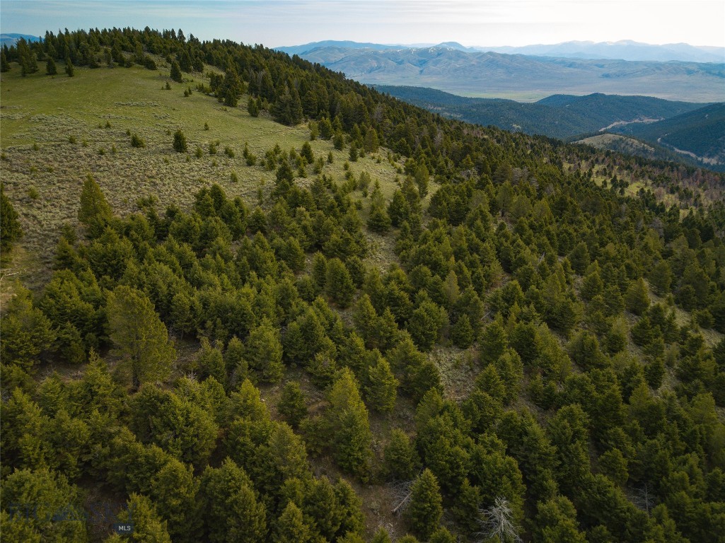 Tbd (58+/- Acres) Ottawa Gulch Road Property Photo 40