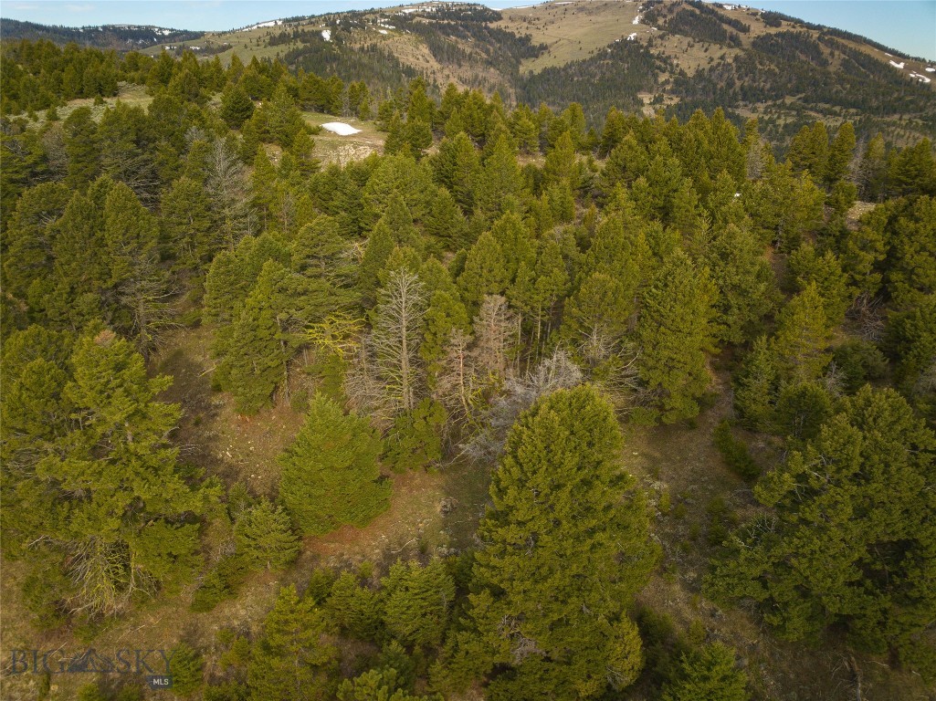 Tbd (58+/- Acres) Ottawa Gulch Road Property Photo 41