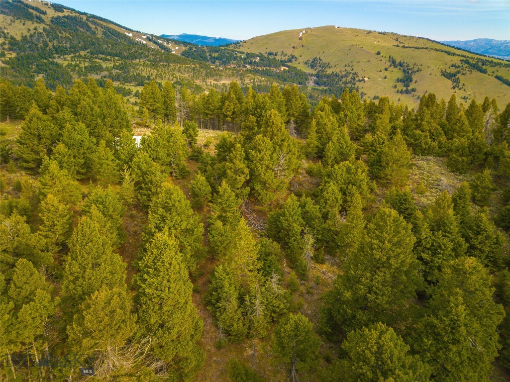 Tbd (58+/- Acres) Ottawa Gulch Road Property Photo 42