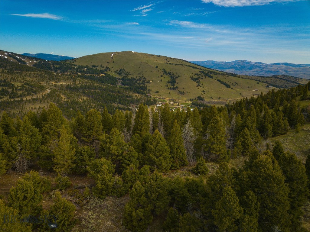 Tbd (58+/- Acres) Ottawa Gulch Road Property Photo 43