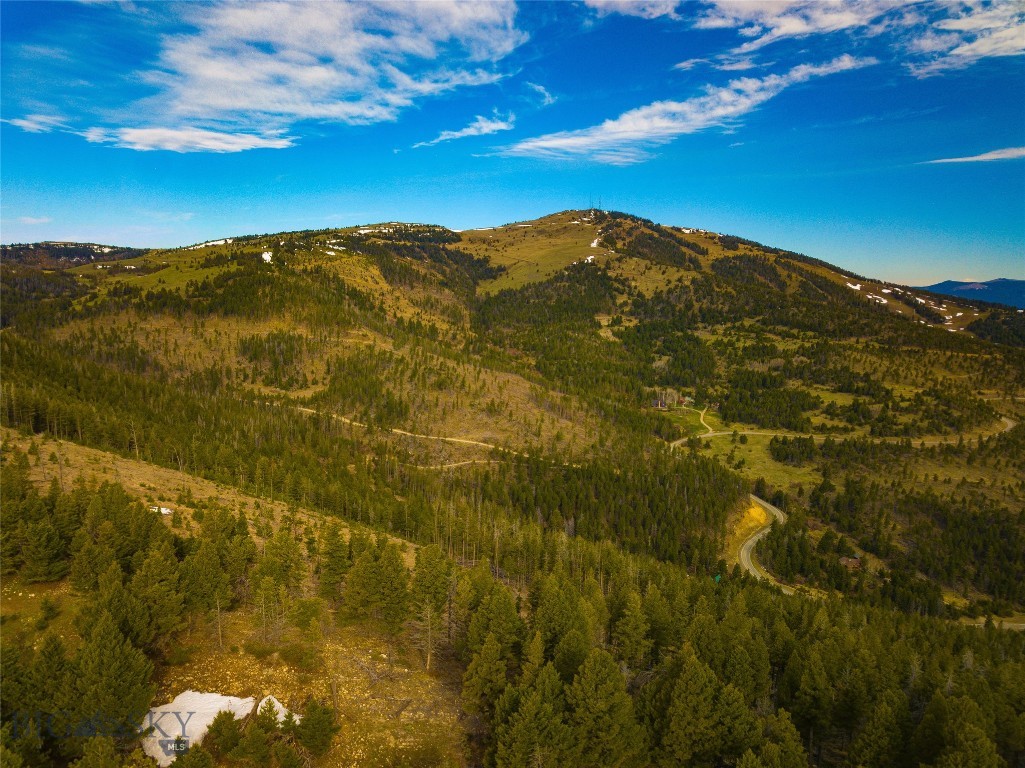 Tbd (58+/- Acres) Ottawa Gulch Road Property Photo 48